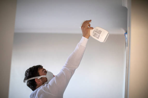 Best Local Mold Removal Service  in Cos Co, CT