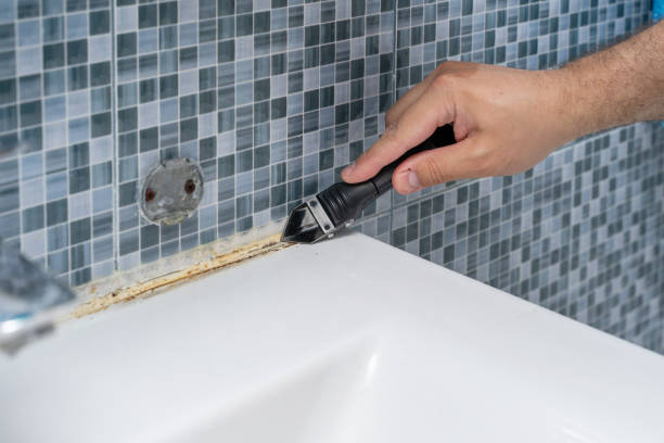 Cos Co, CT Mold Removal Company
