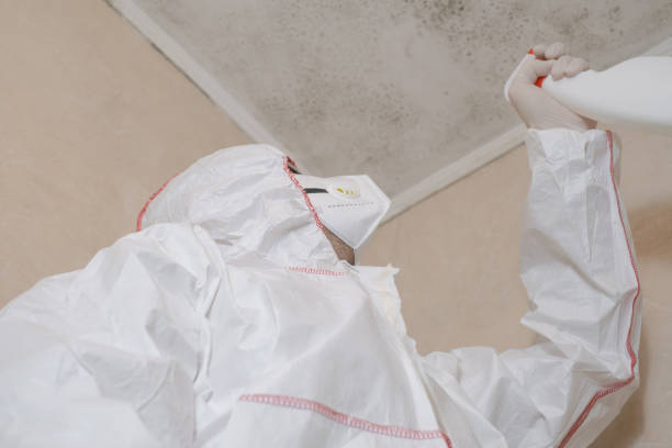 Best Mold Testing and Removal  in Cos Co, CT