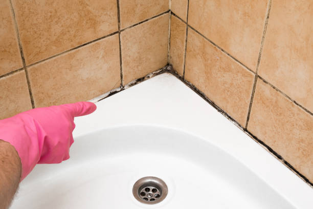 Best Mold Cleaning Services  in Cos Co, CT